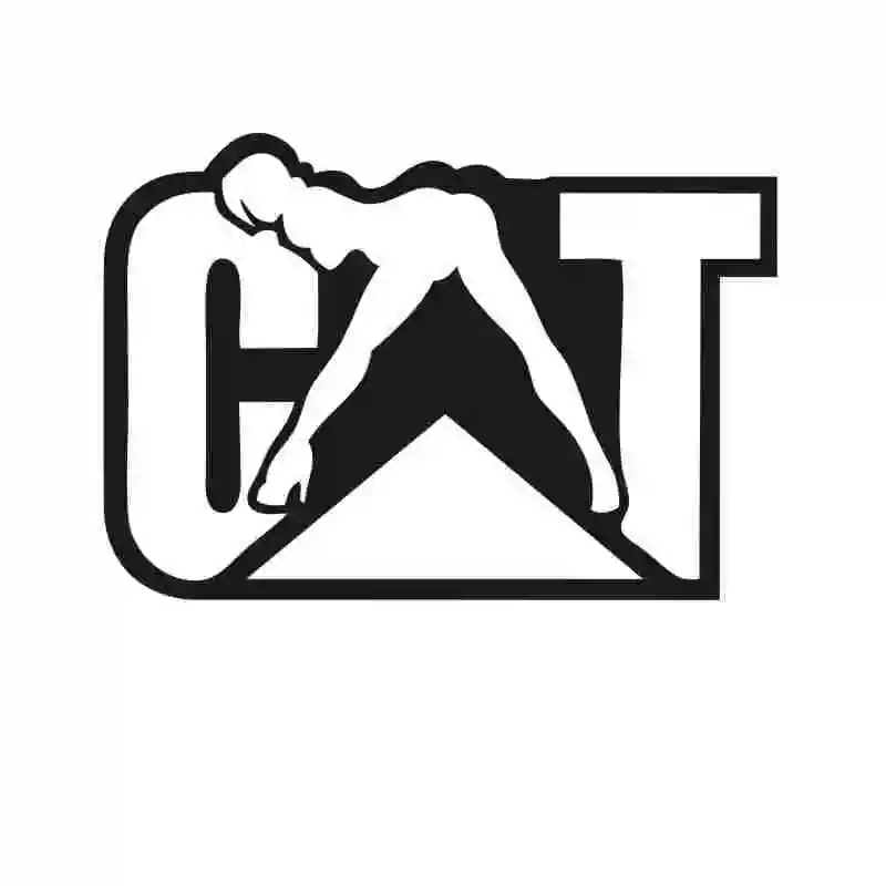 

Pegatina CATERPILLAR CAT NAUGHTY CHICK CAR TRUCK WINDOW Funny Car Window Decal Bumper Sticker Vinyl Truck Sticker