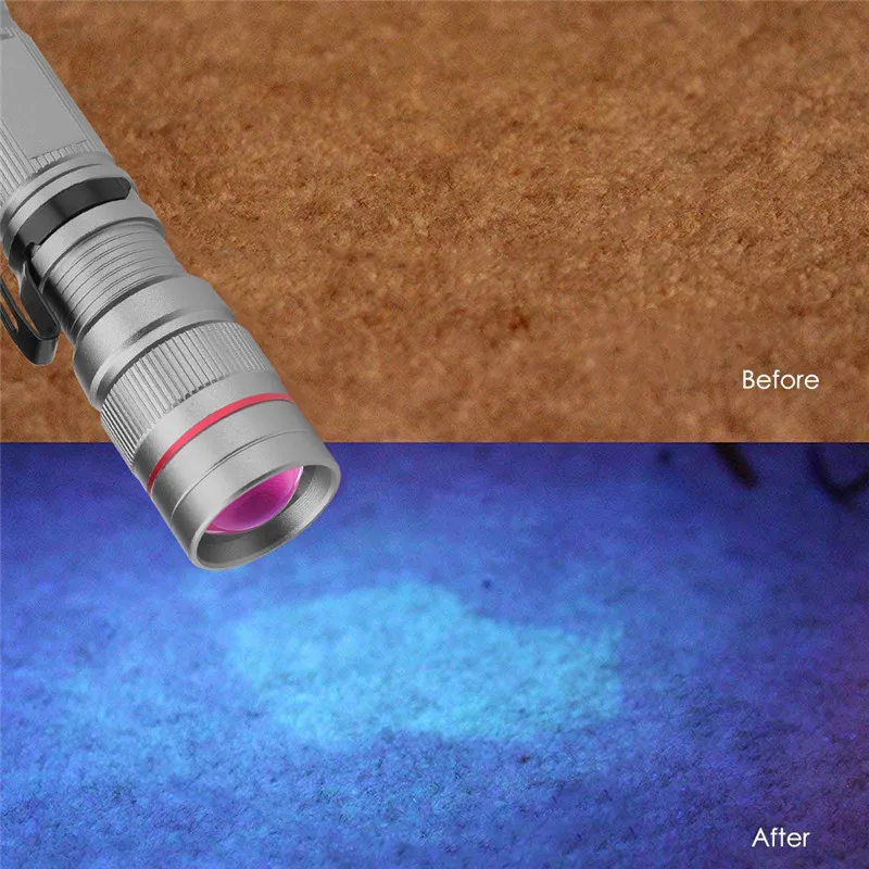 UV Flashlight (7)