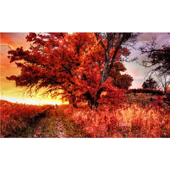 

LB Polyester & Vinyl Backdrops Background For Photography Studio Backdrop Photo Props Nature Huge Old Tree In The Sunset Decor