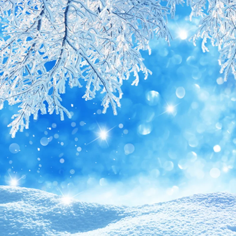 Shiny Salju Lantai dan Cabang Biru Langit  Natal  Latar 