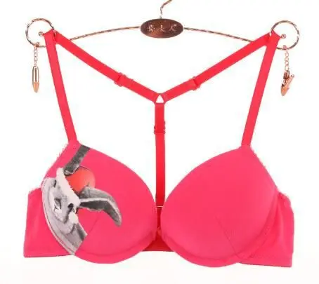 MINGMO Japanese Cartoon Pattern Lingerie Sexy Bra Set Front Closure Bra Push Up Bra and Panty Sets Underwear Women Set()