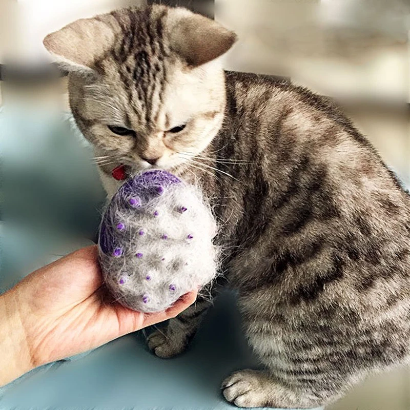 71UhcXWNsFL._SL1000_