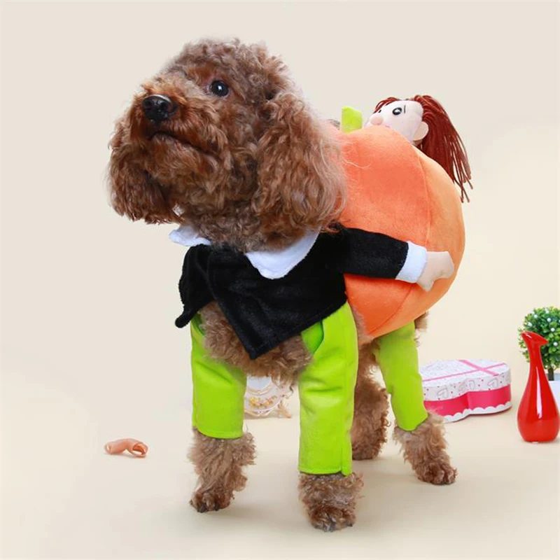 Забавные костюмы для домашних животных, кошек, собак, одежда для собак на Рождество, Хэллоуин, косплей, костюм тыквы, куртка, плащ, аксессуары для собак