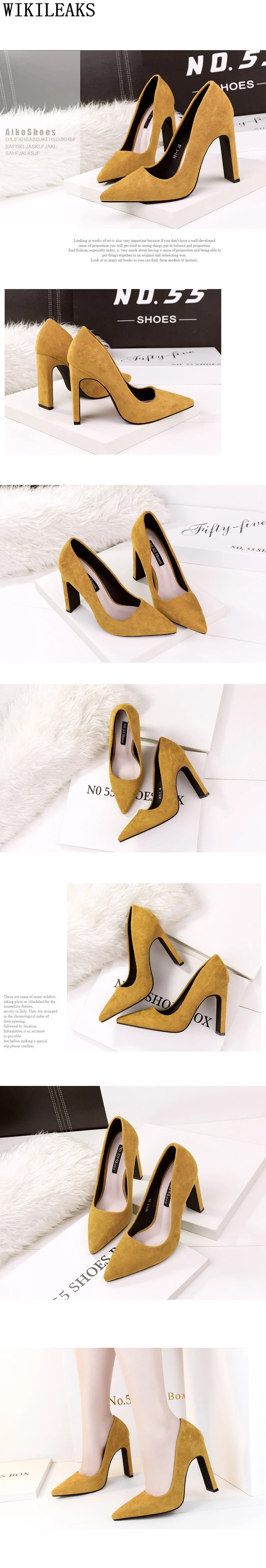 4545609449_1559360250