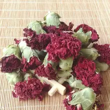 Садовая Гвоздика