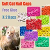 Tapas coloridas para uñas de gato, suaves, 20 unidades/lote, con pegamento adhesivo gratis, talla XS S M LGift para mascotas ► Foto 2/6