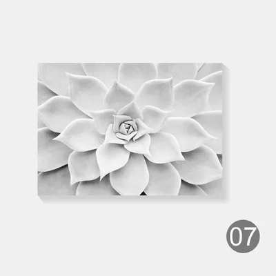 a7