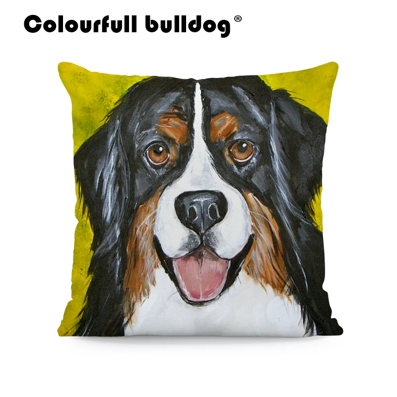 AB9166 (12) Bernese mountain dog