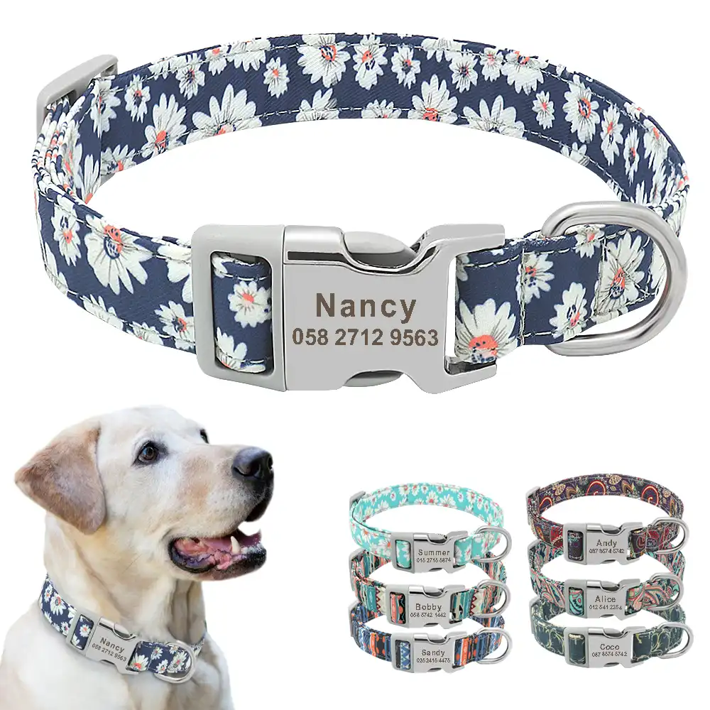 Personalized Dog Collars Custom Engraved ID Name Padded Small Medium Large Puppy Personalised