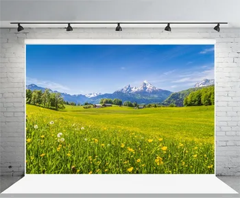 

Laeacco Blue Sky Farm Flowers Field Forest Mountains Landscape Photography Backdrops Vinyl Custom Backgrounds For Photo Studio