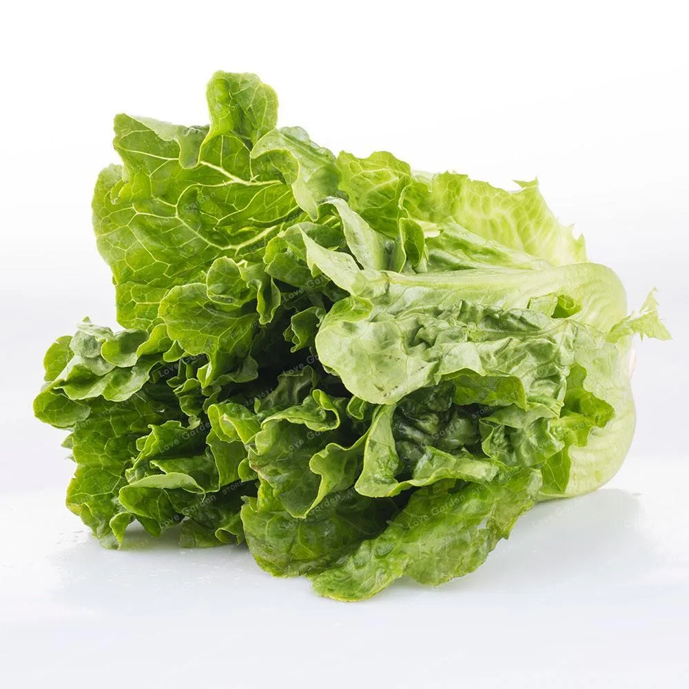 салат с креветками и авокадо и рукколой. салат на новый год с листьями салата. греческий салат на шпажках. салат портофино с креветками. салат цезарь.