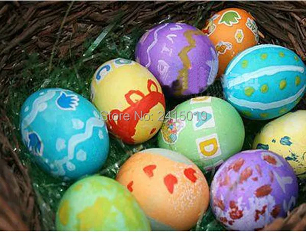 egg-6