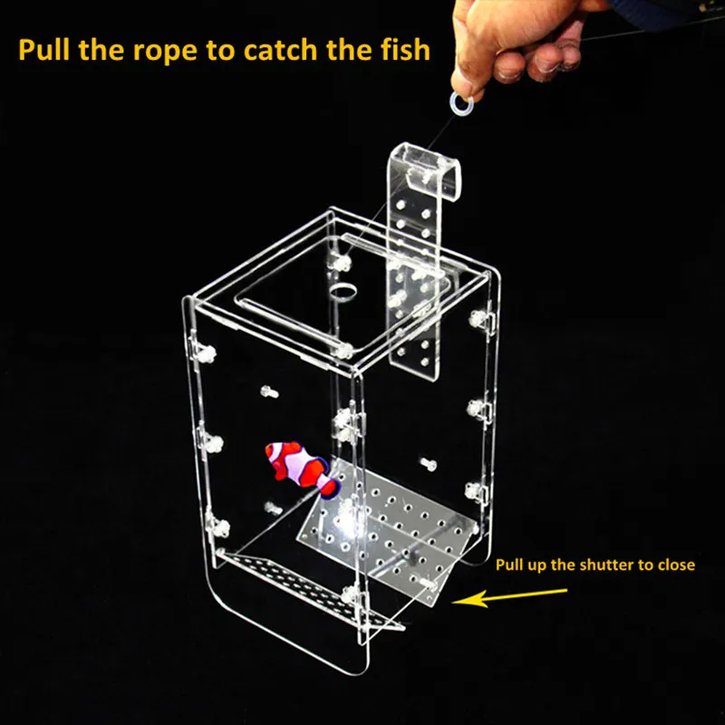 Rope design Acrylic Fishing box trap box for safe catch fish