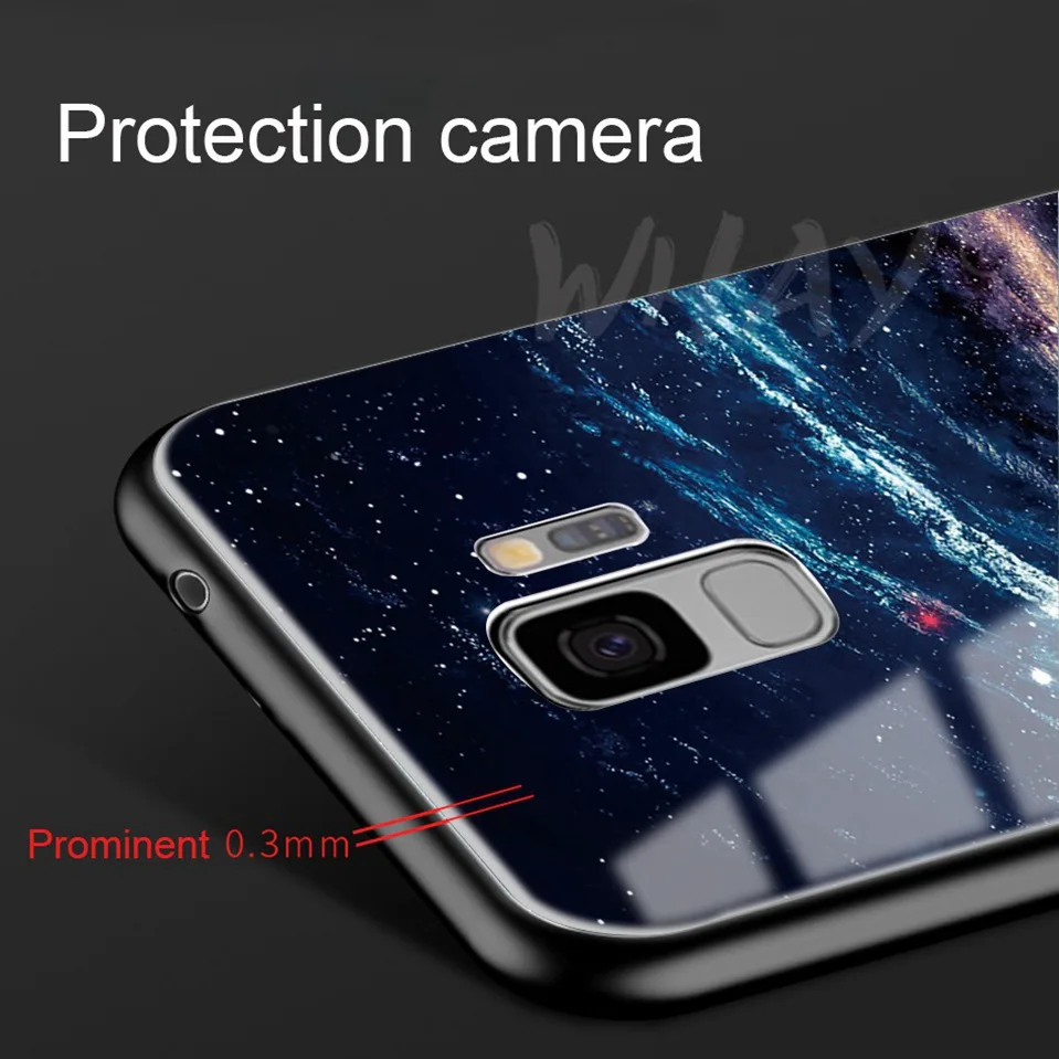 Tempered Glass For Samsung Galaxy S9 Plus Silicone Capa Luxury Patterned Back Case For Samsung S9 Plus S9Plus Note 8 Note8 Cover (2)