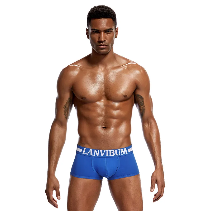 Comfortable Boxershorts Men Underwear Boxer Men Cotton Modal Underwear Antibacterial Boxers Boxer Sexy Hombre