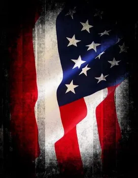 

Large American Flag Wall photography studio background Vinyl cloth High quality Computer print party photo backdrop