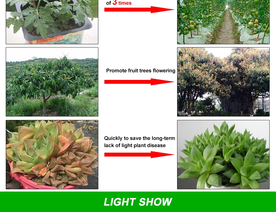 LED Phyto lamp (2)