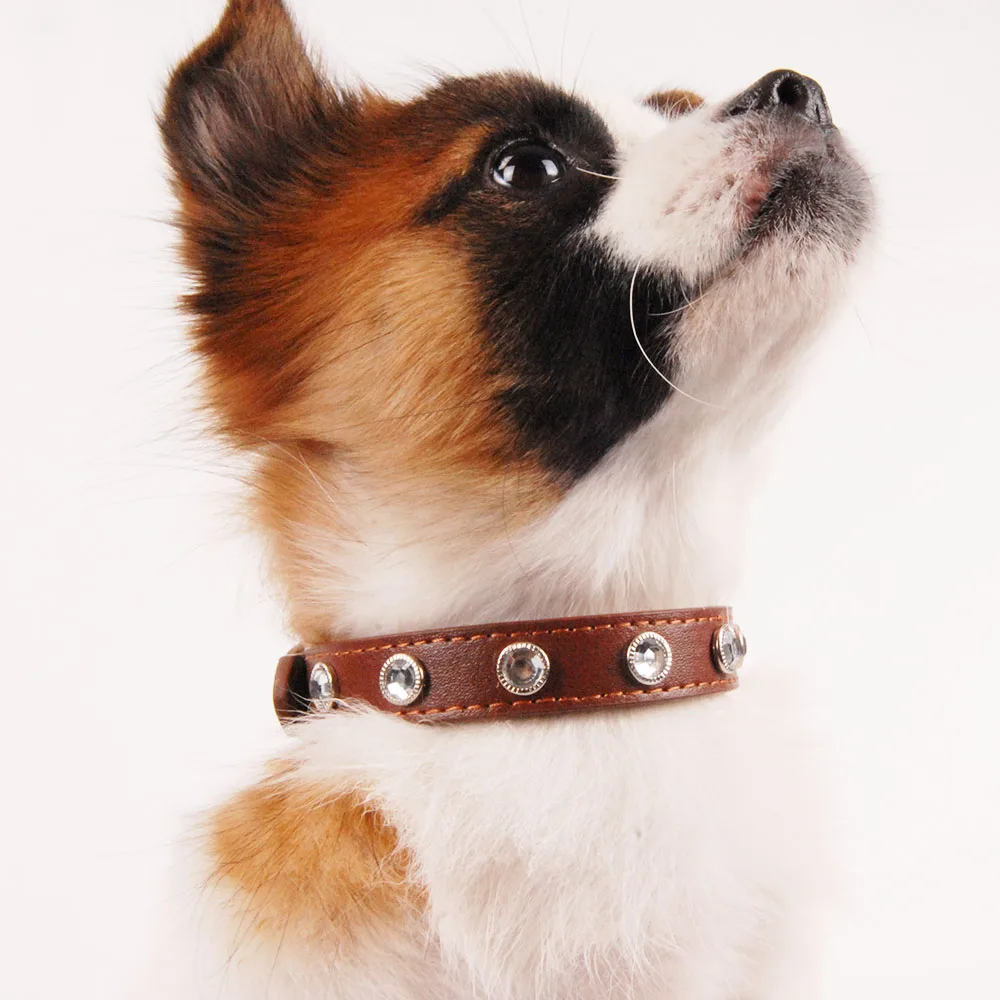 Dog Collars jw0026-5