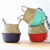 Garden Supplies