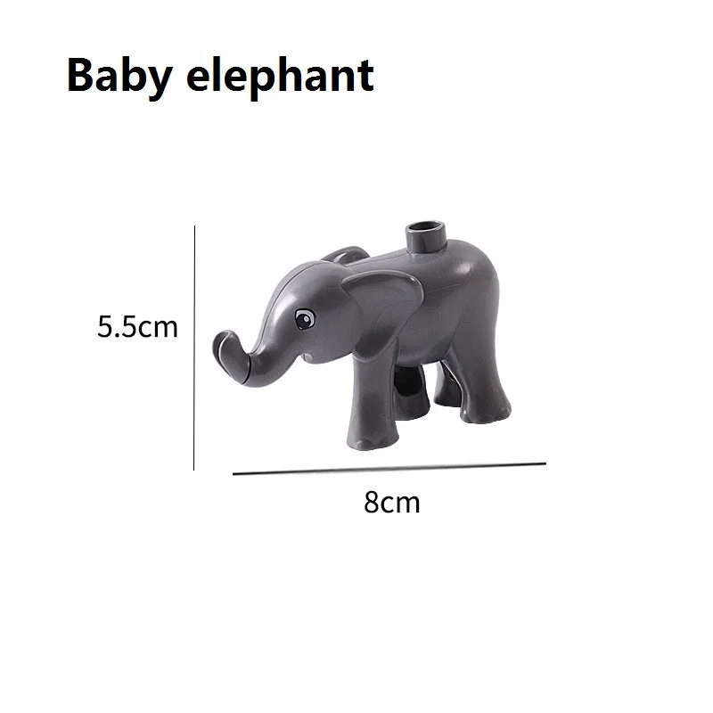 Baby elephant