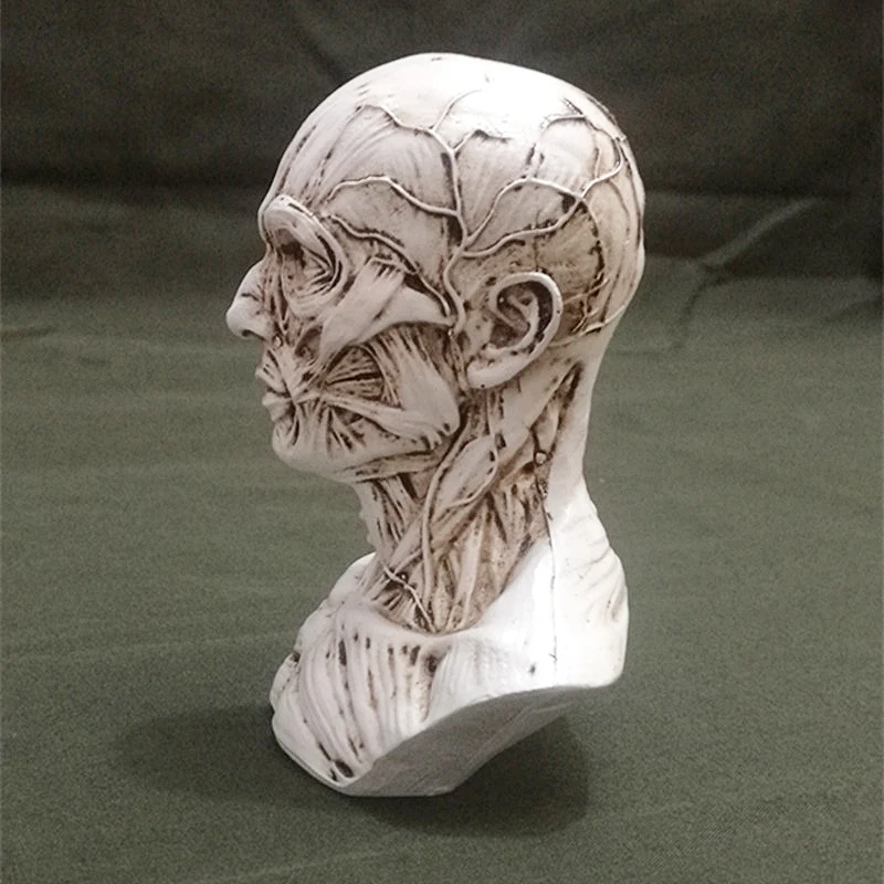 3D Искусство Живопись штукатурка статуя силиконовая форма череп голова человека