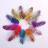 Plumes de faisan en perles 2-4 pouces 5-10CM, Plumes de poulet naturelles, masque de bricolage, décoration de réception de mariage, accessoires bijoux, 50 pièces ► Photo 2/6