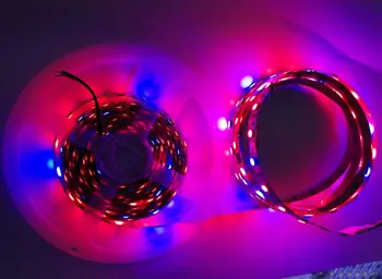 

[Seven Neon]Free shipping new 5M/rool 60leds/m IP20 non-waterproof DC5V 5050 4:1 LED SMD Strip for plant growing