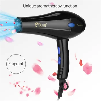 

Professional Powerful Hair Dryers Blue Light Anion Negative Ionic Fast Styling Blow Dryer Barber Salon & Home Use Hair Drier 301