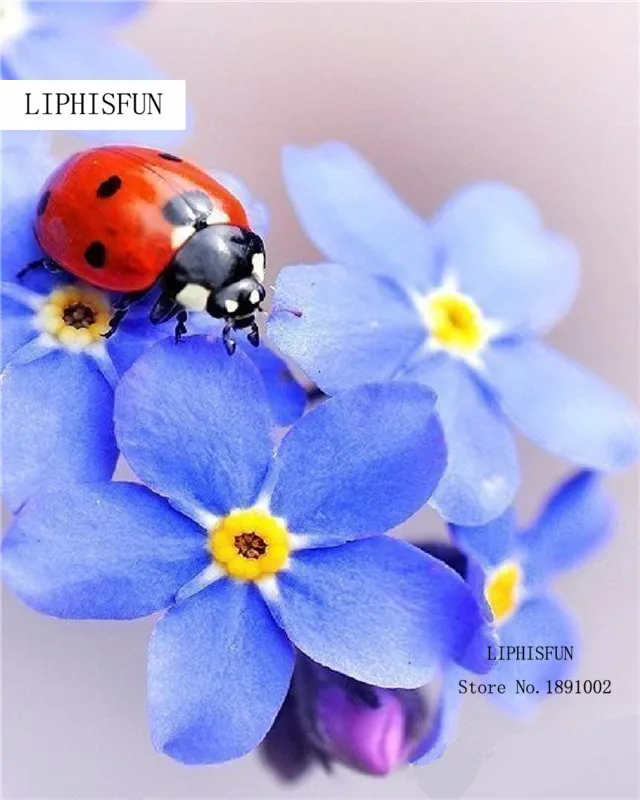 Full Drill Diamond Embroidery Flowers Patterns Rhinestones Bead Cross Stitch Mosaic Hobbies Handicrafts Room Decoration | Дом и сад
