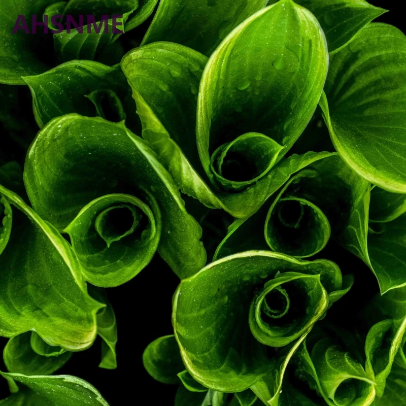 07-1