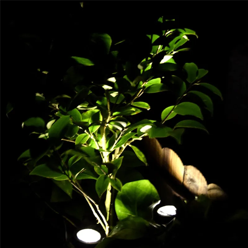 4461933095_1130527149