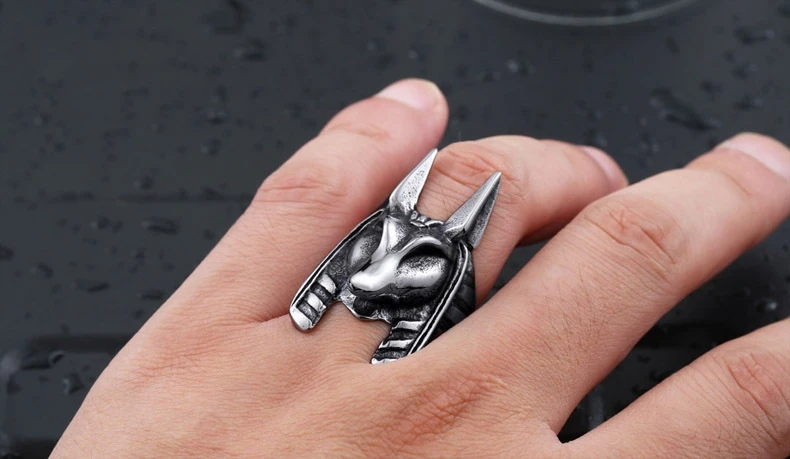DoreenBeads Египетский миф бог Anubis кольцо для мужчин Нержавеющая сталь панк ювелирные изделия Модные Винтажные животное человек высшего качества титановые кольца