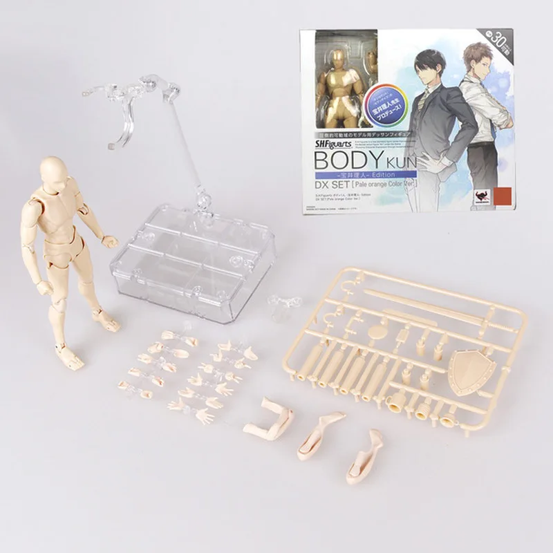 Аниме Archetype He She Ferrite подвижное тело Feminino Kun Чан ПВХ фигурка модель игрушки кукла