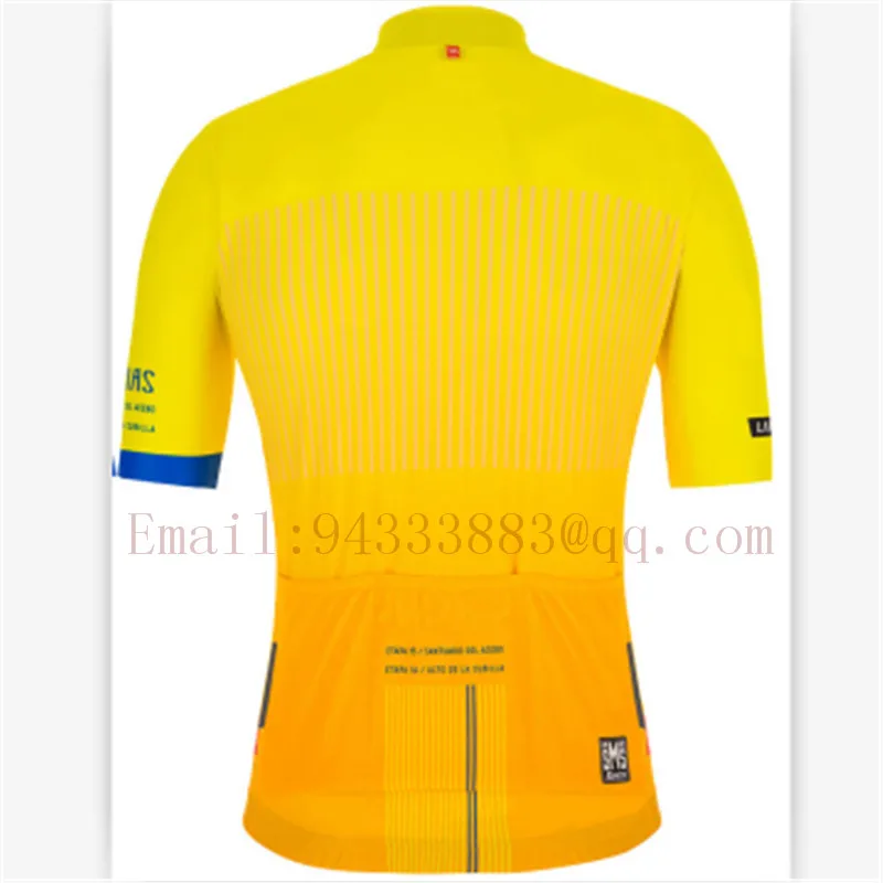 2019 new selling bicycle professional team short sleeve jersey bib shorts triathlon suit summer cycling set custom bike clothes