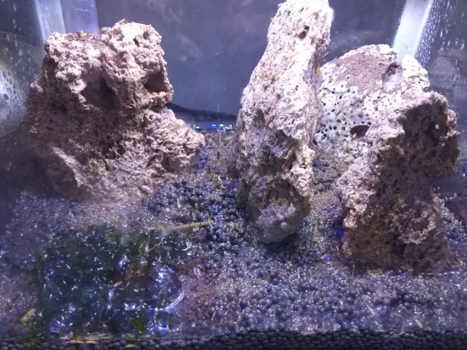 Природный необработанный камень Дракон Камень ohko fish tank озеленение горного камня украшение аквариума бонсай озеленение водной травы