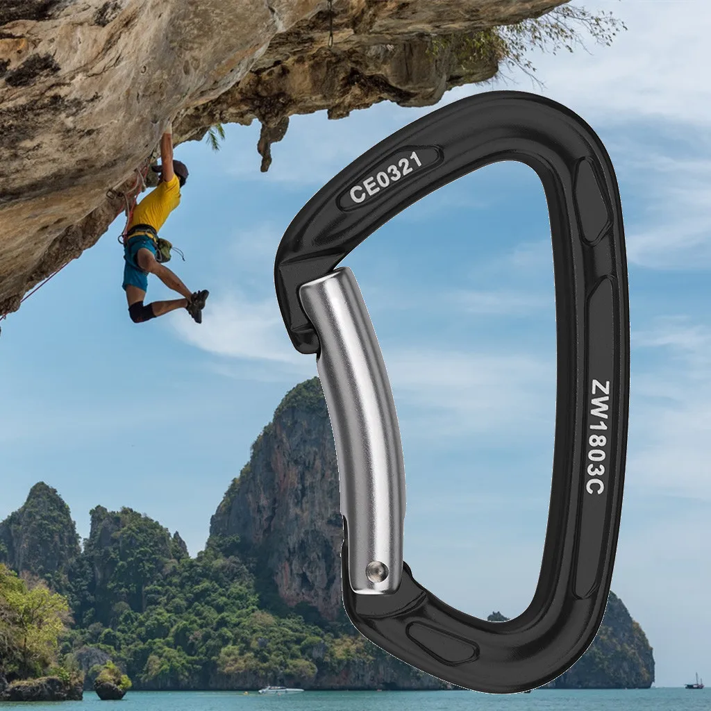 Professional Carabiner D Shape Climbing buckle Security Safety Master