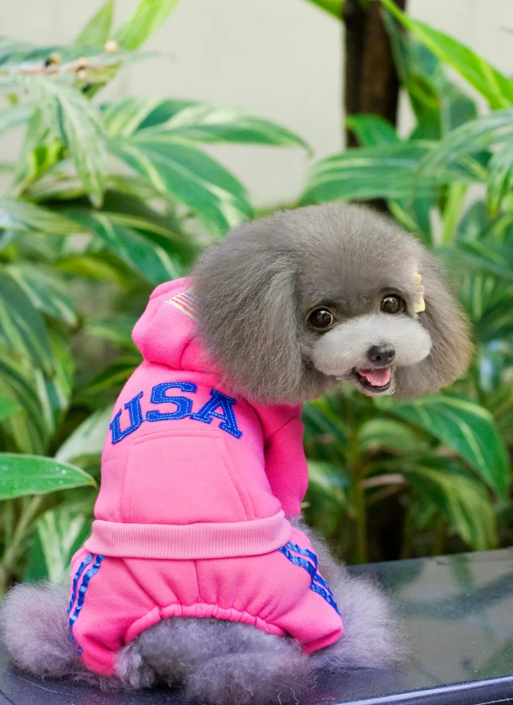 Бесплатная доставка!! 4 вида цветов 5 размеров Теплый Pet пальто капюшоном Зимняя мода США Собака комбинезон