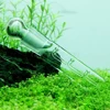 Snail Planarian leech Vivarium Trap Pest Glass Catch Pen Fish Tank Shrimp Worm Bait Aquarium Aquatic Cleaner Drop Shipping ► Photo 3/6