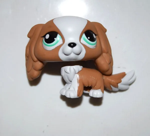 

Pet Shop Animal Brown White Cyan Eyes King Charles Spaniel Dog Figure Toy