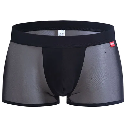 Sexy Transparent Male Underwear Mens Underwear Boxers Lingerie Man ...