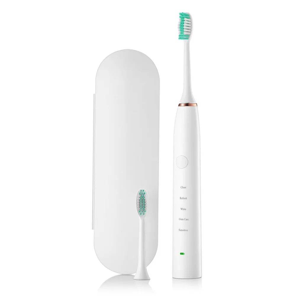 

D6 Ultrasonic Electric Toothbrush USB Charge Rechargeable escova de dente eletrica With 2 Pcs Replacement Heads Timer Brush