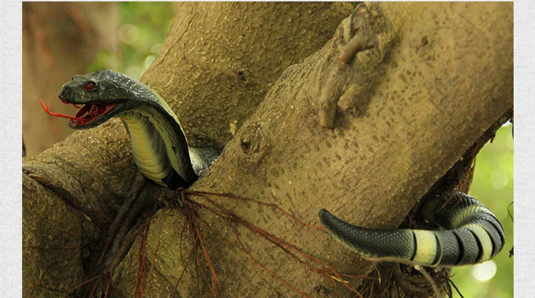 4466863677_348426548