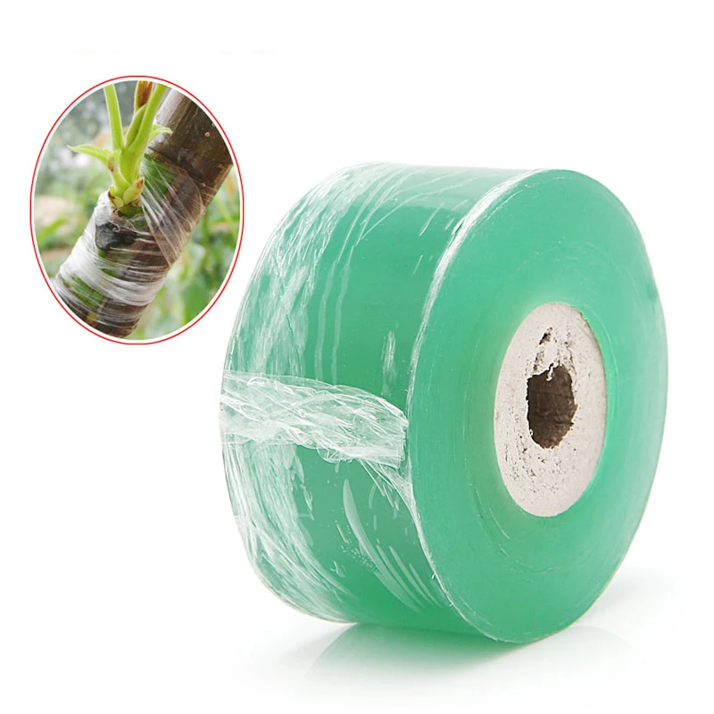 Nastro Per Innesto Biodegradabile - 4 Rotoli Da 100m - Trasparente Per Piante E Alberi Da Frutto - Foto 7