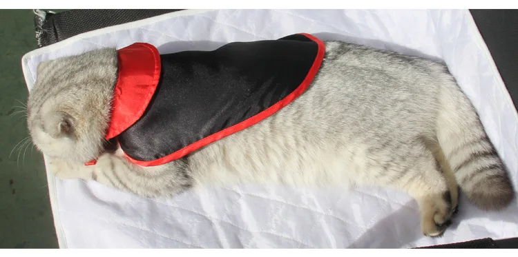 Новая кошка Хэллоуин Рождественские костюмы Магия плащ мантии платье костюм Одежда Pet Puppey Cat Product для маленьких собак cat Всесезонная одежда