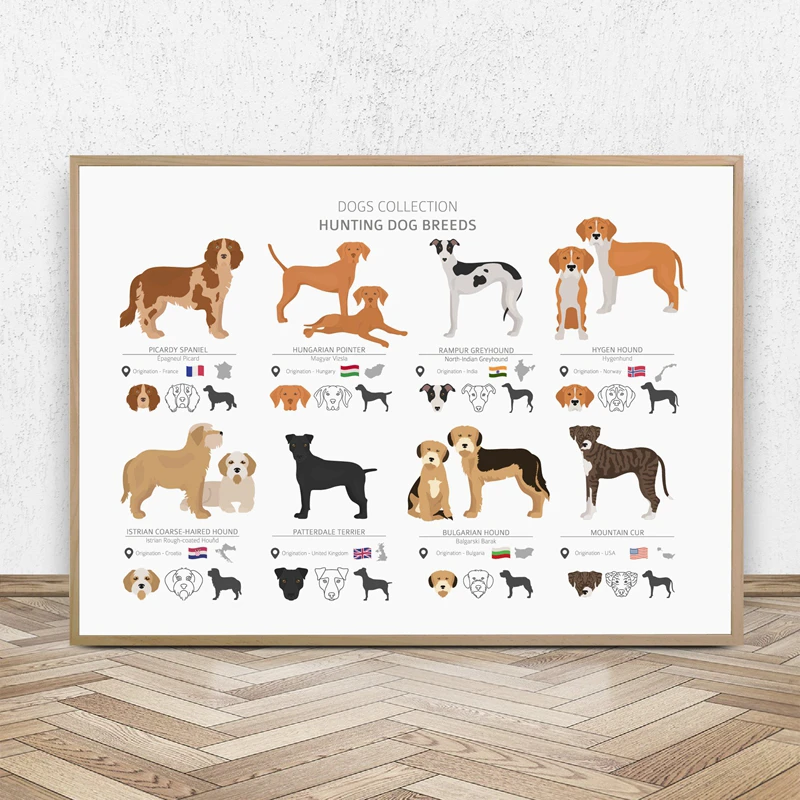 Collezione di razze di cani da caccia Poster Wall Art Canvas ...