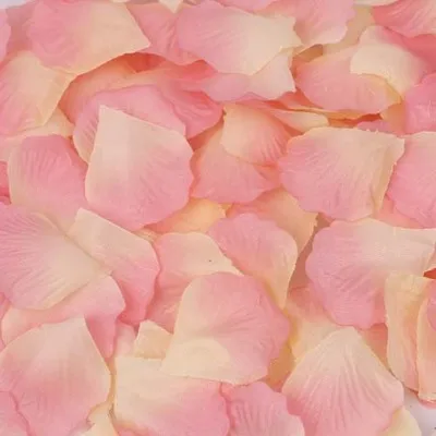 500 pcs/lot 5*5cm Lifelike Artificial Silk Red Rose Petals Decorations for Wedding Party - Цвет: I