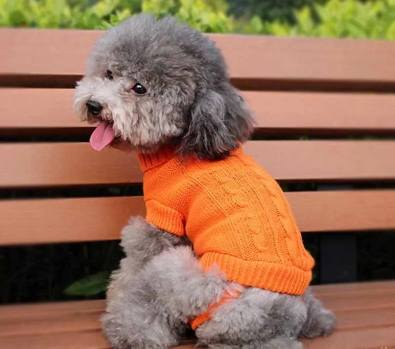2016 Designer Pet Clothes Turtleneck Small Dog Sweater Winter Apparel for Chihuahua Pure Color Classic Pet Cat Dog Costume Wholesale14