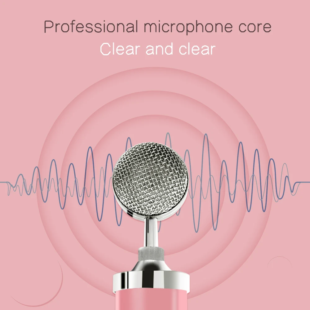 Buy Condenser Microphone Pop Filter Singing Windscreen