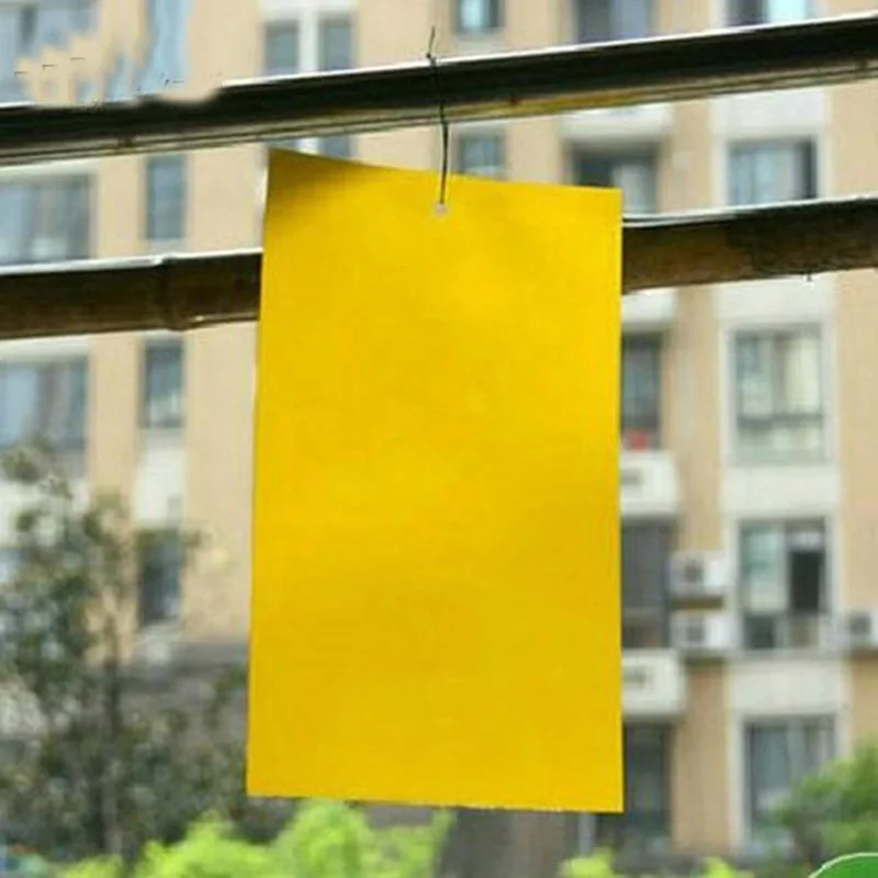 WCIC ثنائي الوجهين الغراء ملصقات اصطياد المن الحشرات القاتل الآفات التحكم الذبابة البيضاء قوي الذباب الفخاخ البق مجلس زجة WCIC ثنائي الوجهين الغراء ملصقات اصطياد المن الحشرات القاتل الآفات التحكم الذبابة البيضاء قوي الذباب الفخاخ البق مجلس زجة