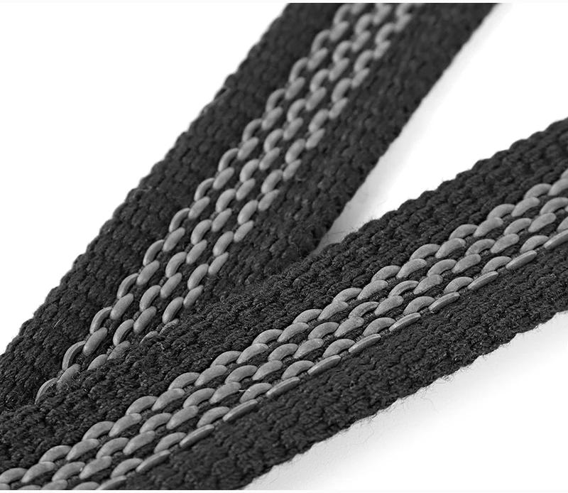dog-leash-30306-d9